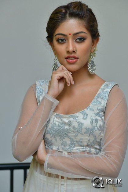 Anu-Emmanuel-at-Kittu-Unnaadu-Jagratha-Movie-Gummadikaya-Function